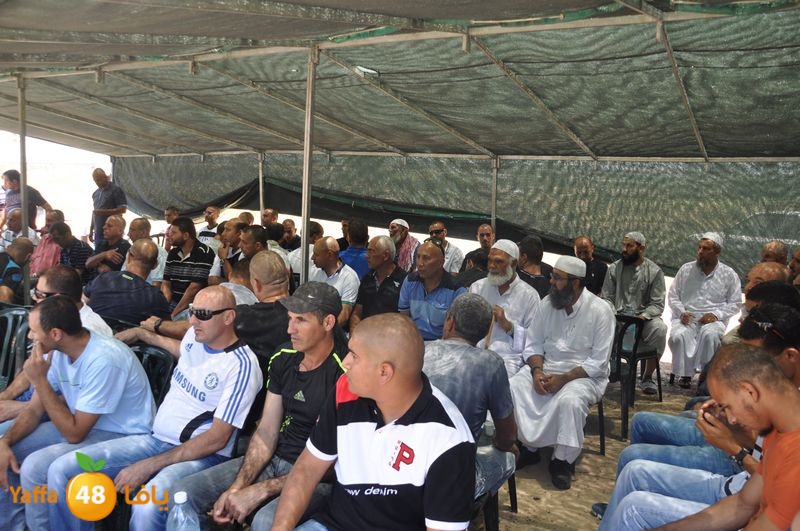 sol7desoqylud615 (75).JPG